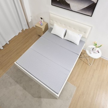 Đệm bông tinh khiết SH_DG24 101 - Sông Hồng chính hãng 